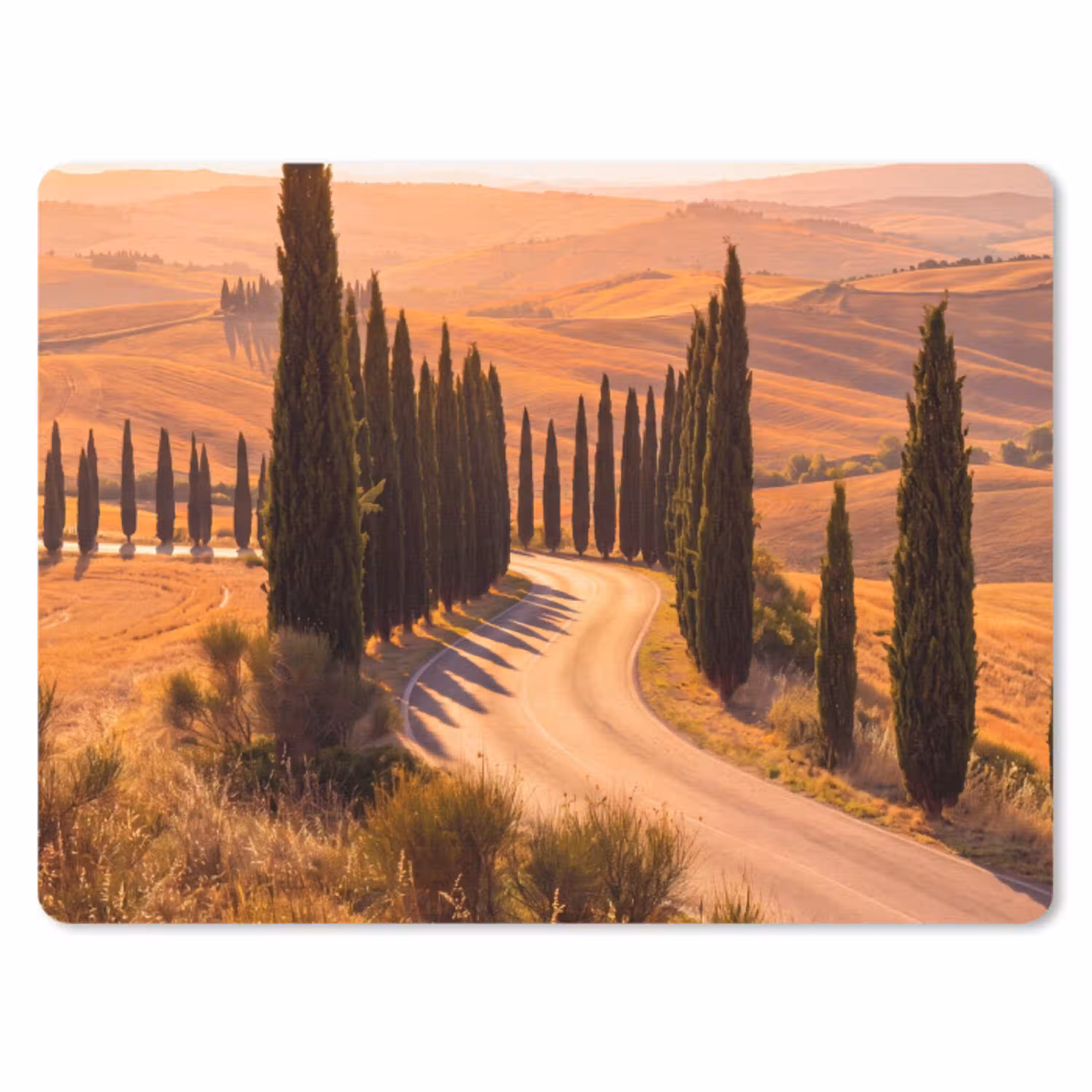 Landschap - Weg - Bomen - Natuur - Goud muismat rubber klein -3d