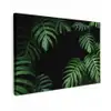 Jungle - Planten - Monstera - Jongens - Meisjes - Kinderen canvas 2cm klein -z3d
