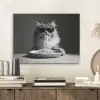 Langharige kat - Zonnebril - Spaghetti - Humor - Zwart - wit PET vilt klein -sfeer1