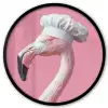 Flamingo - Roze - Koksmuts - Vogel Fotolijst rond zonder passe partout klein -3d