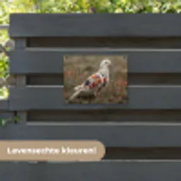 Duif - Bloemen - Natuur tuinposter los doek klein -sfeer3