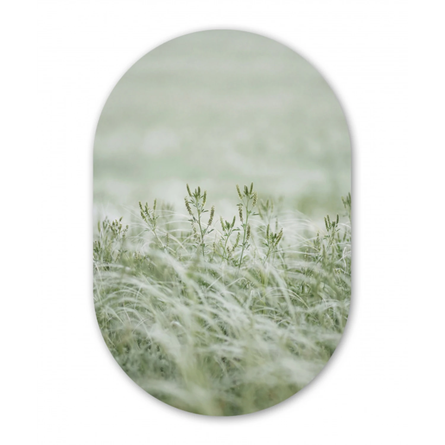 Grassen - Minimalistisch - Groen Wandcirkel Ovaal Forex klein -3d