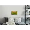 Lente - Bloemen - Rood - Klaproos - Gras - Groen Muursticker klein -slaapkamer