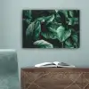 Jungle - Bladeren - Tropisch - Planten - Natuur canvas 2cm klein -sfeer4