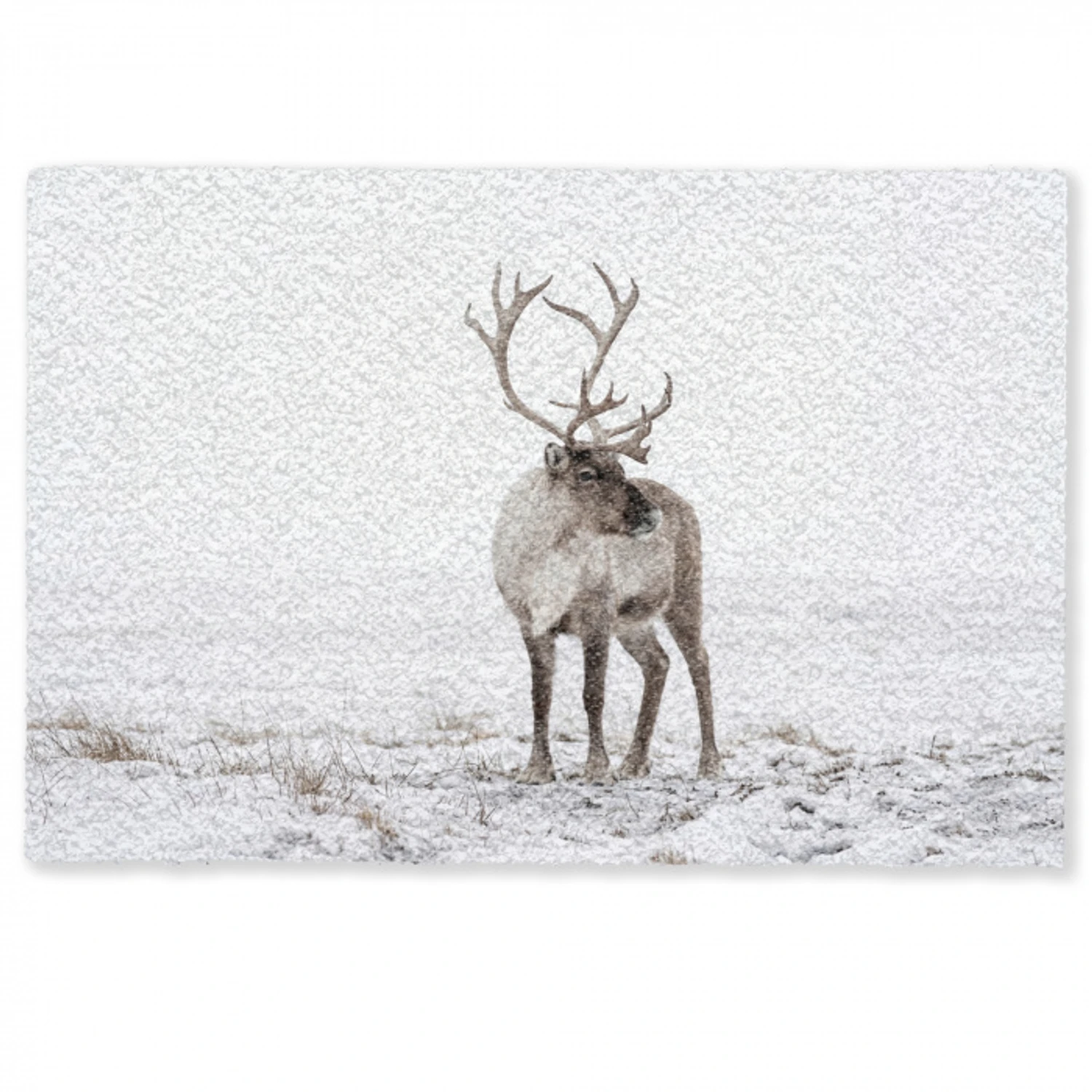 Rendier - Gewei - Sneeuw - Winter Deurmat klein -zkaufland3d