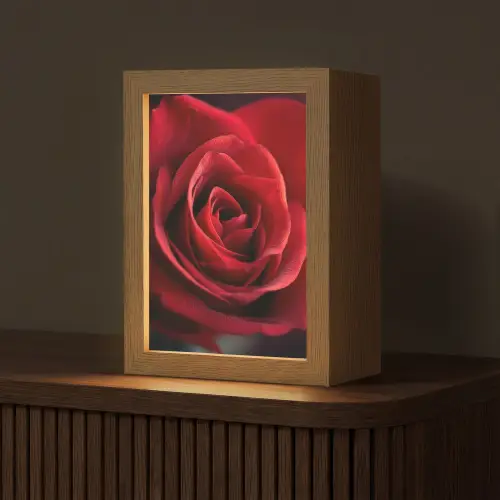 Rood - Roos - Romantisch Light Box met kabel (Tafellamp) klein -z3d_website
