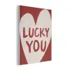 Lucky - Hart - Rood PET vilt klein -3d