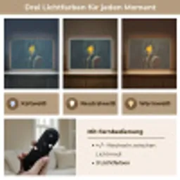Koning - Portret - Druipende gele verf Light Box met batterij (Wandlamp) middel -USP_lichtkleurDE