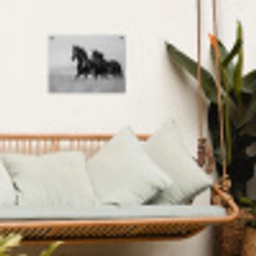 Paarden - Gras - Zwart - Wit tuinposter los doek klein -sfeer7