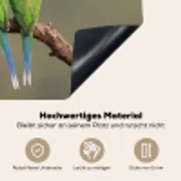 Papagaai - Tak - Natuur - Kleurrijk Inductie beschemer met haakjes klein -ky-onderkant-de