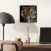 Tijger - Wilde dieren - Portret plexiglas 5mm klein -sfeer6