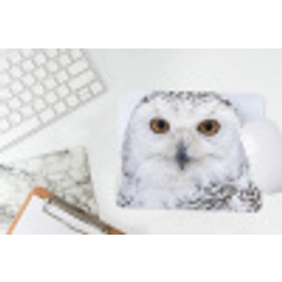Sneeuwuil - Oog - Wildlife - Wit muismat rubber klein -witbureau