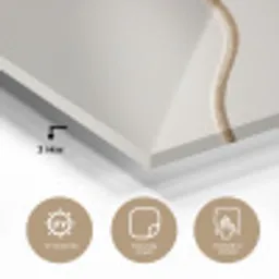 Papaverbollen - Droogbloemen - Minimalistisch - Beige - Rustig plexiglas 5mm klein -sfeer2
