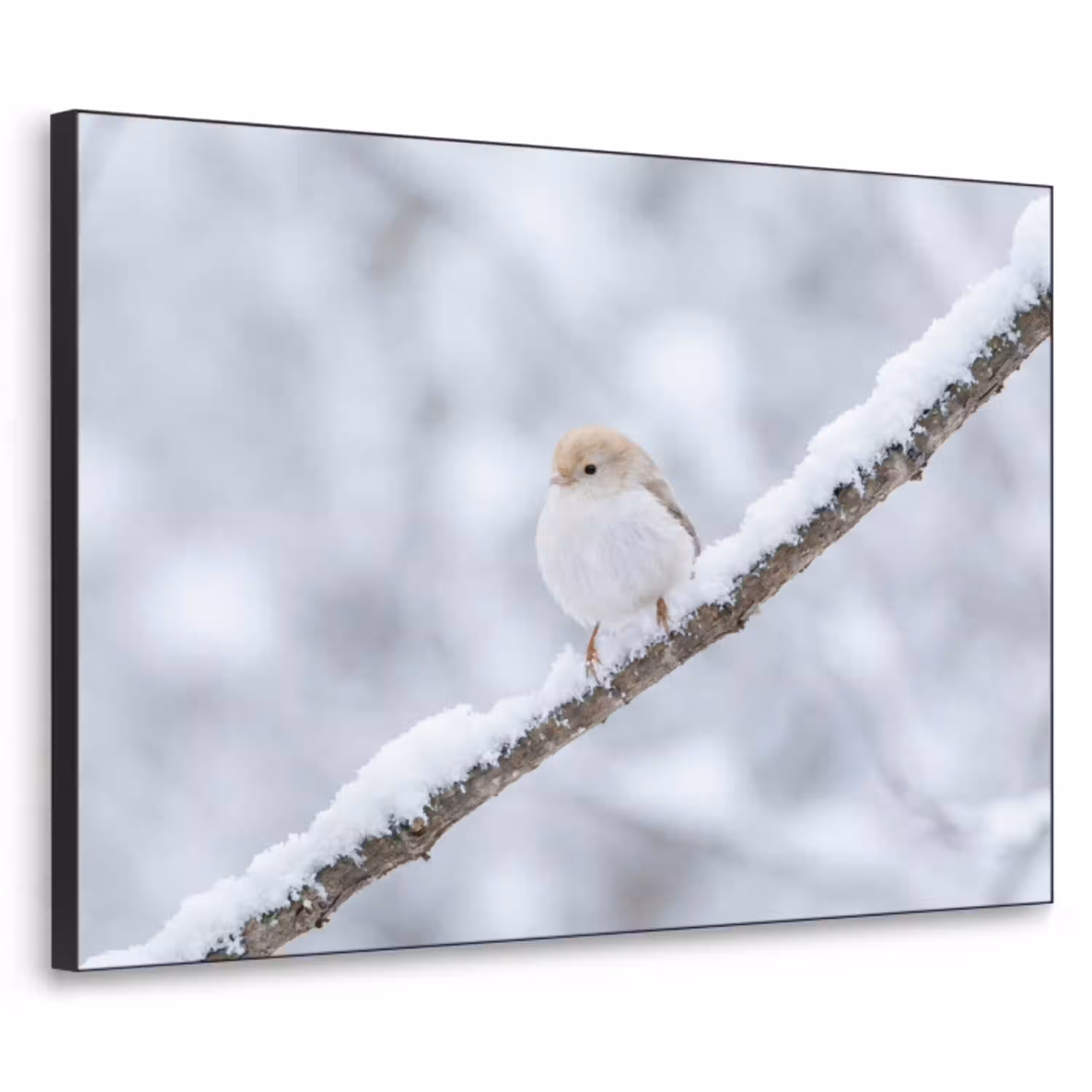 Vogeltje - Sneeuw - Tak - Winter - Zacht Textielframe zwart klein -3d