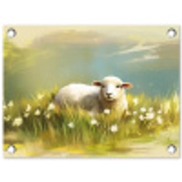 Schaap - Weide - Groen tuinposter los doek klein -3d