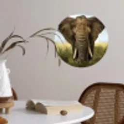 Olifant - Natuur - Gras - Dieren - Landschap Wandcirkel behangsticker klein -sfeer3