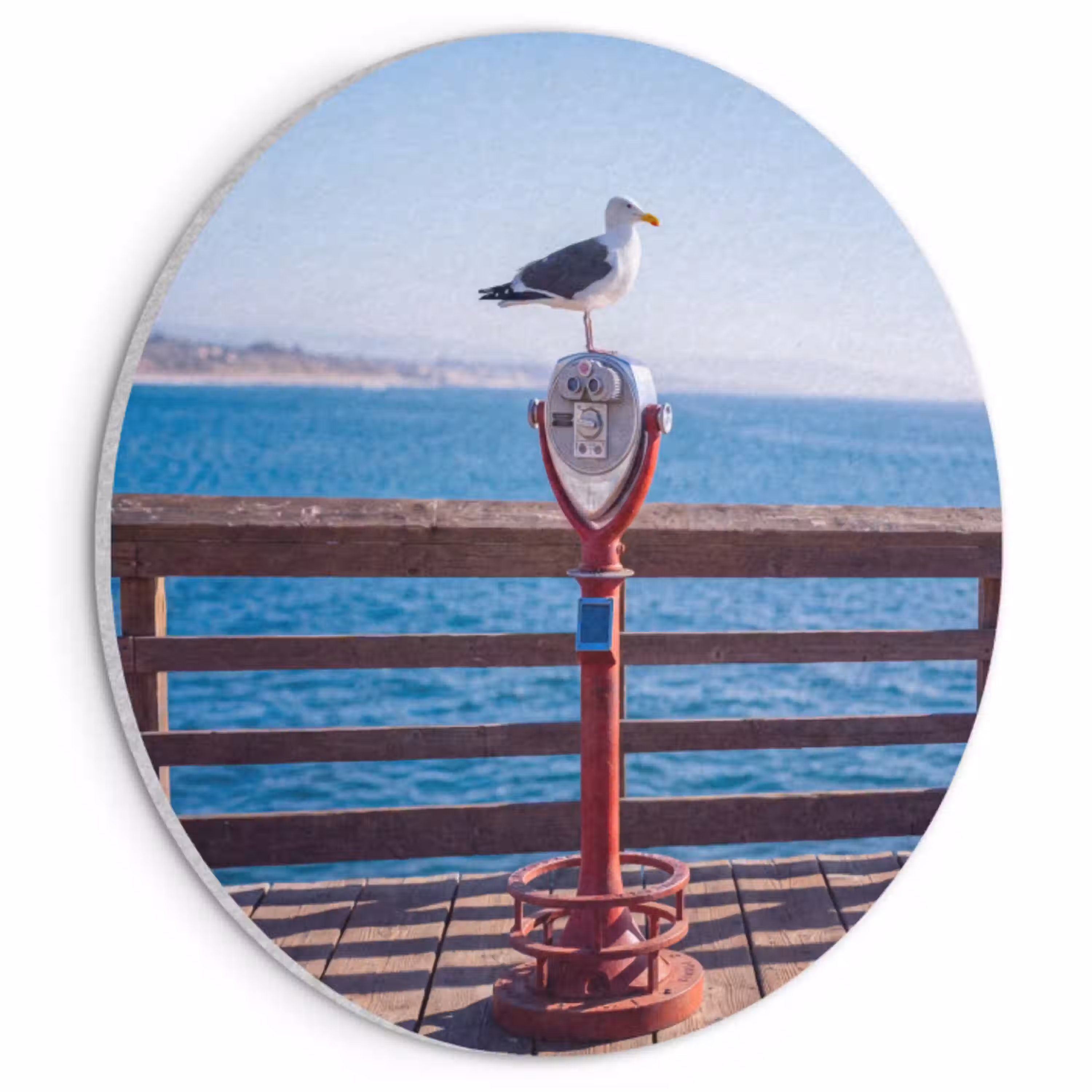 Vogel - Verrekijker - Kust - Zee - Blauw Akoestische PET Vilt - Rond klein -3d