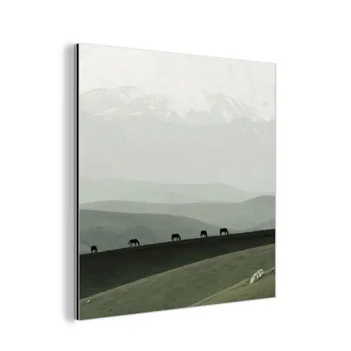 Grijs - Berg - Paarden aluminium wit klein -3d