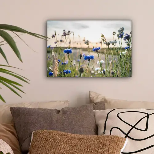Bloemen - Zomer - Korenbloem - Blauw - Zon - Wolken canvas 2cm klein -sfeer1