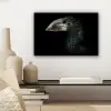 Vogel - Portret - Neushoornvogel - Zwart - Dieren canvas 2cm klein -sfeer6