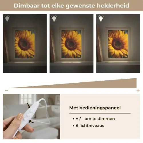 Geel - Zonnebloem - Zomers Light Box met kabel (Tafellamp) klein -USP_dimbaarNL