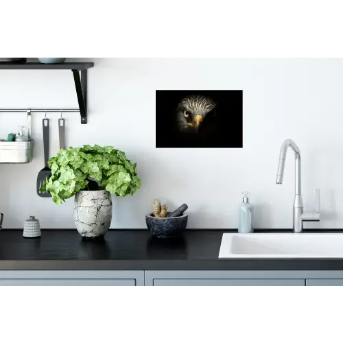 Vogel - Adelaar - Roofvogels - Oog - Snavel - Licht Muursticker klein -keuken