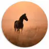 Paard - Grasveld - Zonsondergang Wandcirkel kunststof plaat 5mm dik klein -3d