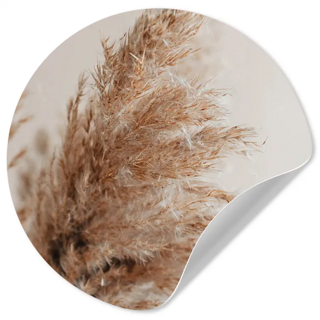 Gras - Planten - Natuur - Pampasgras Wandcirkel behangsticker klein -3d