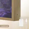 Eenhoorn - Paars - Sprookje - Fantasy dier Light Box met batterij (Wandlamp kind) middel -USP_websiteoplaadbaarNL