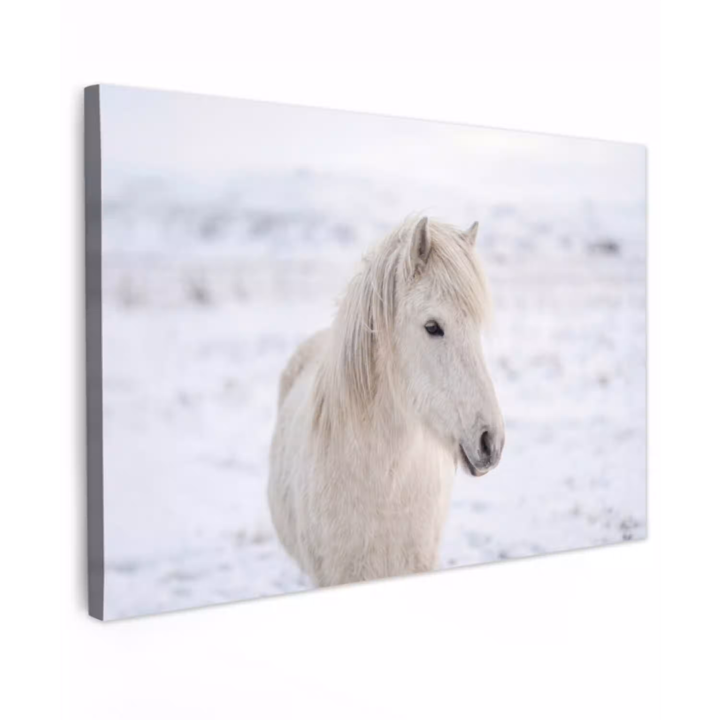 Paard - Kop - Winter - Dieren - Wit canvas 2cm klein -z3d