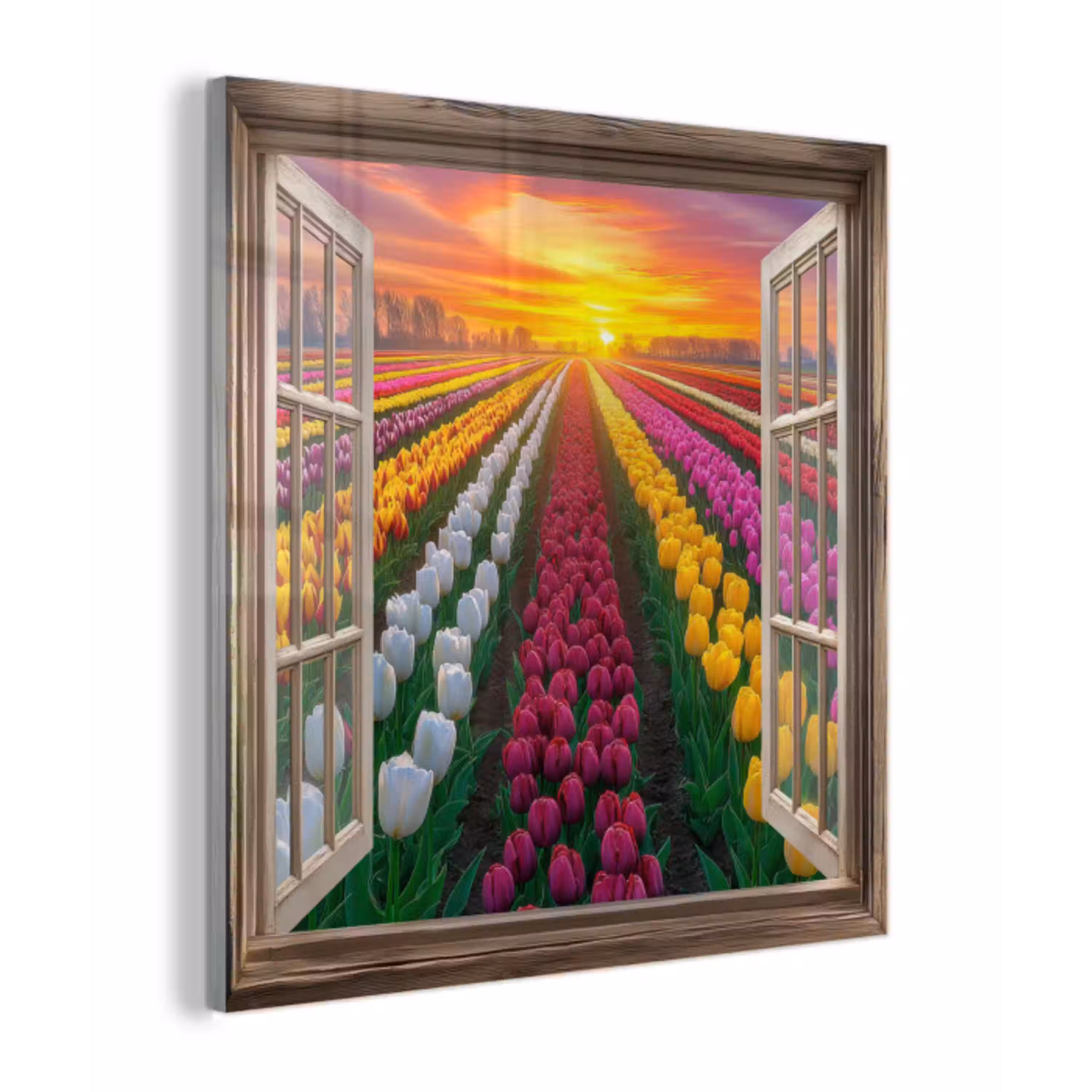 Doorkijk - Bloemen - Tulpen - Kleurrijk - Zonsondergang plexiglas 5mm klein -z3d
