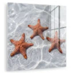 Zeesterren - Water - Helder plexiglas 5mm klein -zzzproduct_nieuw