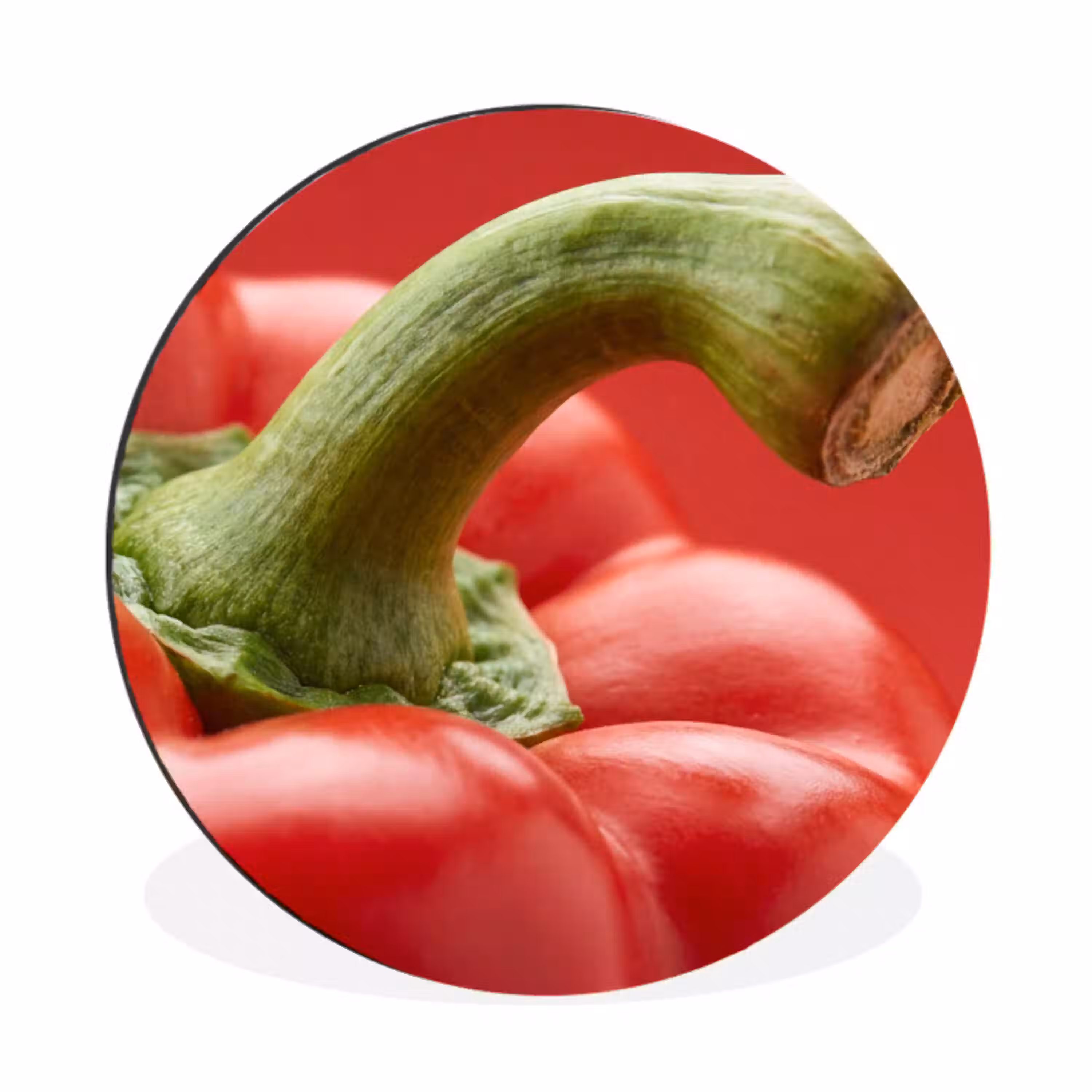 Eten - Paprika - Rood Wandcirkel aluminium klein -3d