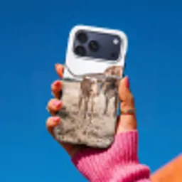 Texas Longhorn - Kalf - Weide - Dieren Toughcase MagSafe Apple iPhone 17 Pro Max klein -Sfeer1V