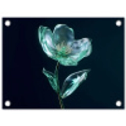 Bladeren - Bloem - Glazen - Donkerblauw tuinposter los doek klein -3d