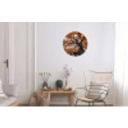 Boom - Bladerdak - Herfst - Oranje - Sfeervol Wandcirkel aluminium klein -woonkamer