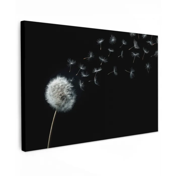 Paardenbloem - Zwart - Natuur canvas 2cm klein -z3d