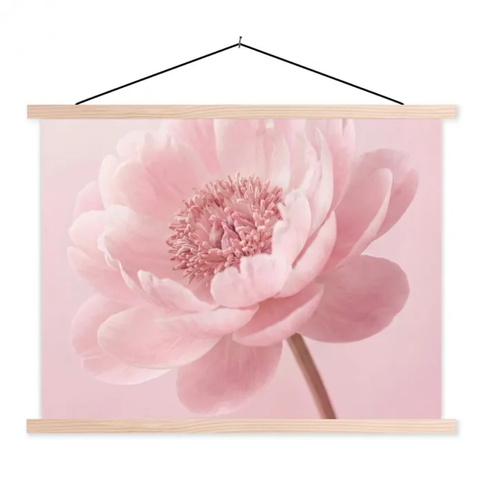Bloem - Pioenroos - Roze textielposter latten blank klein -3d