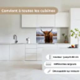 Schotse hooglander - Bruin - Water keuken achterwand 2 middel -sfeer4_FR