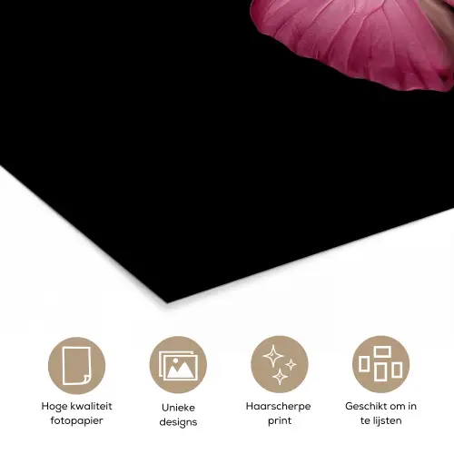 Vlinder - roze - Elegant poster papier klein -closeup_NL