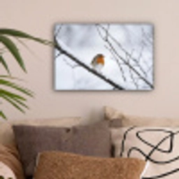 Roodborstje - Tak - Sneeuw - Winter - Levendig canvas 2cm klein -sfeer1