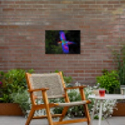 Felgekleurd - Papegaai - Bos - Vleugels Tuinposter op houten frame 2 cm dik klein -sfeer3