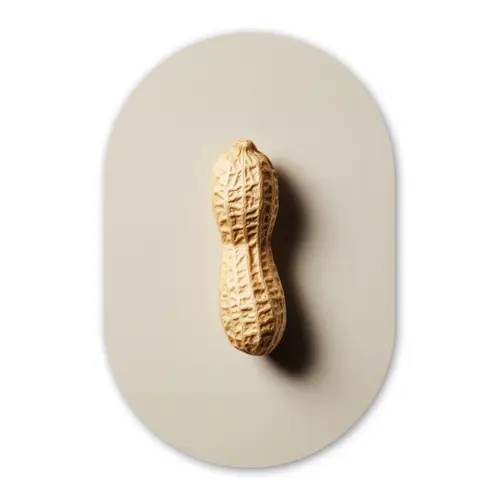 Pinda - Ruw - Beige Wandcirkel Ovaal Glas middel -3d