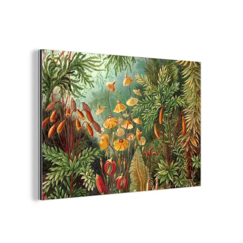 Design - Natuur - Paddenstoelen - Ernst Haeckel aluminium wit klein -3d