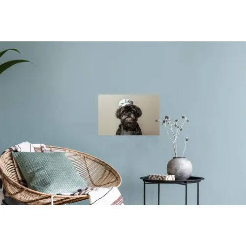 Kokskleding - Zwart - Hondje Muursticker klein -plant