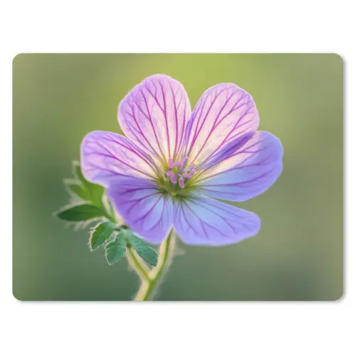 Bloem - Close up - Paars muismat rubber klein -3d
