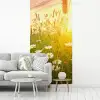 Bloemen - Madelief - Natuur fotobehang vinyl groot -woonkamer