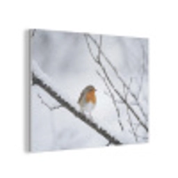 Roodborstje - Tak - Sneeuw - Winter - Levendig PET vilt klein -3d