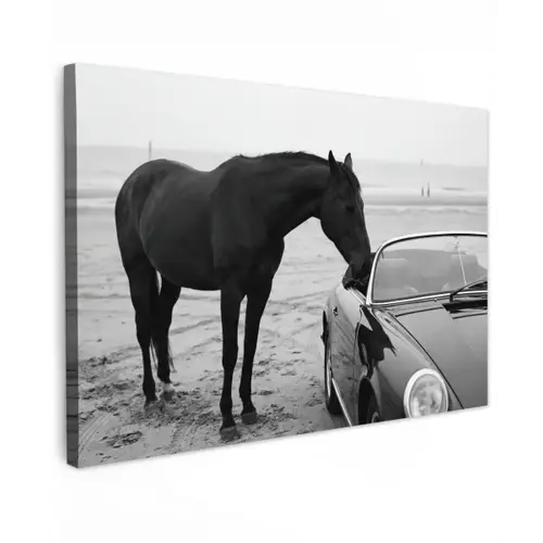Paard - Auto - Zwart - Wit canvas 2cm klein -z3d