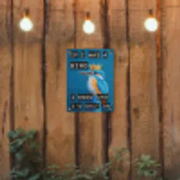 Vogel - Decoratie - Ijsvogel - Blauw tuinposter los doek klein -sfeer1
